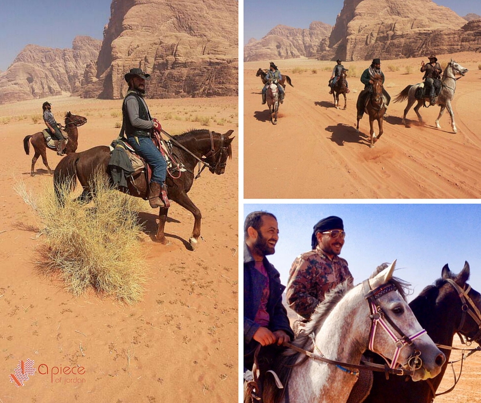 horses